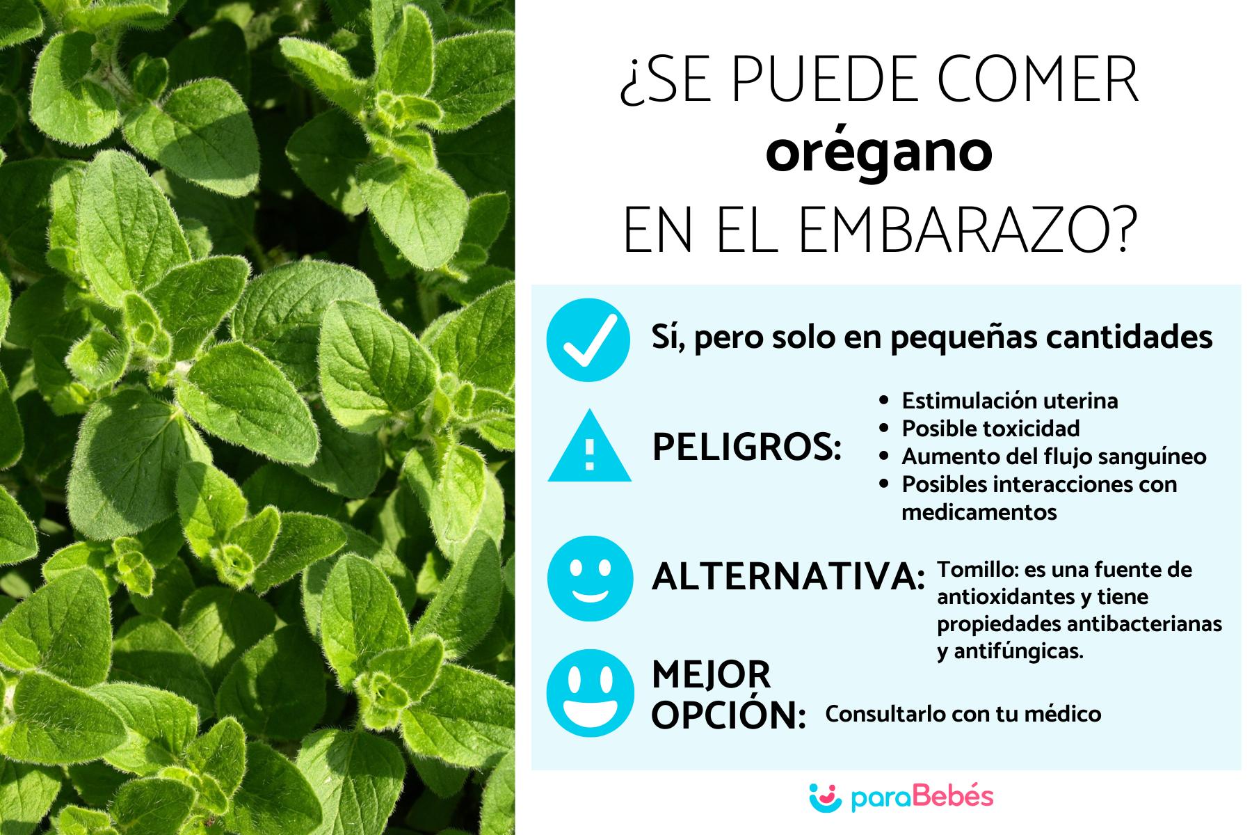 ¿Puedo comer orégano en el embarazo?