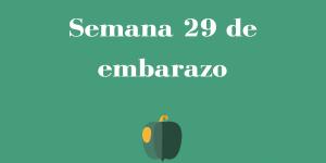 Semana 29 de embarazo