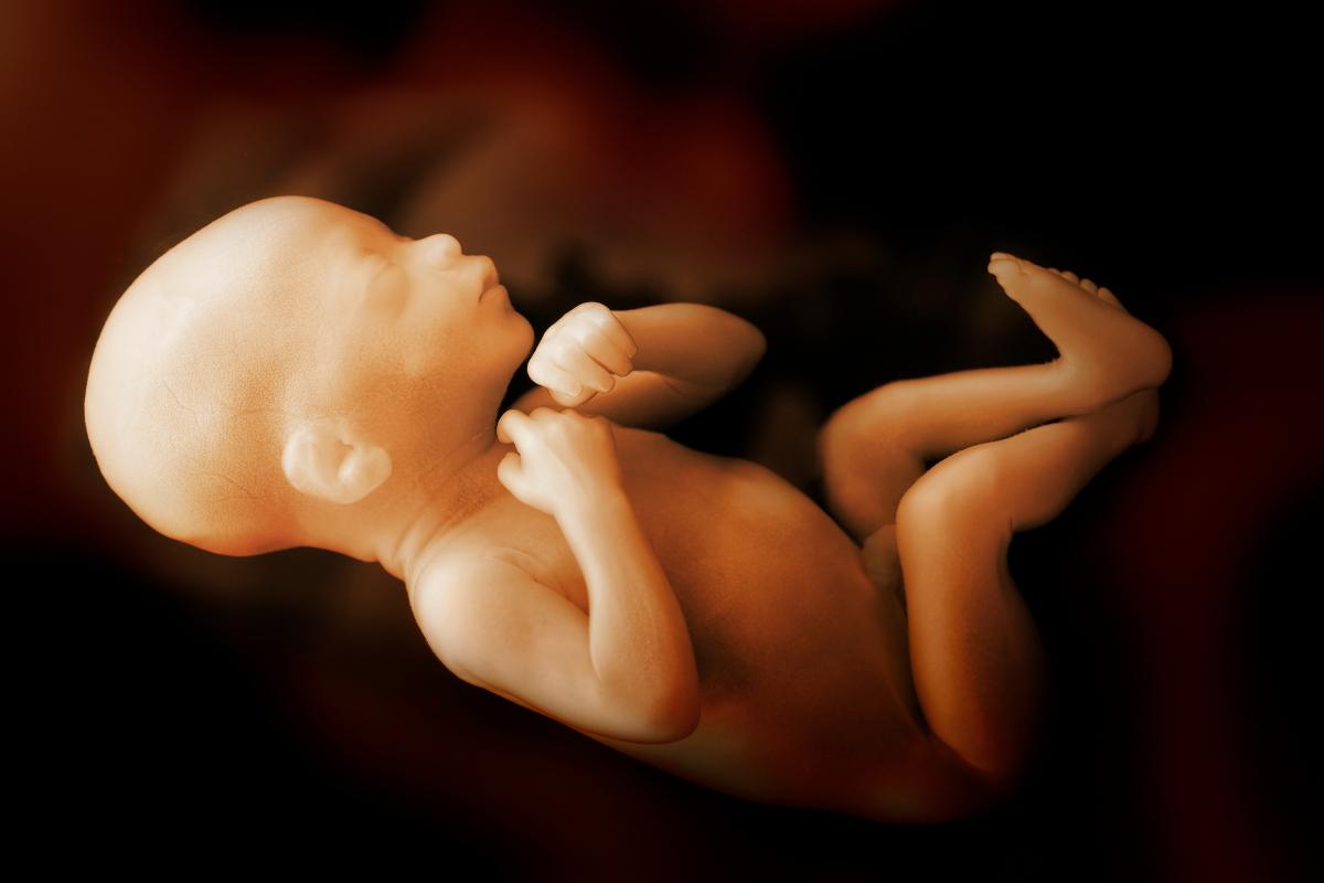 ¿Los bebés lloran en la barriga?