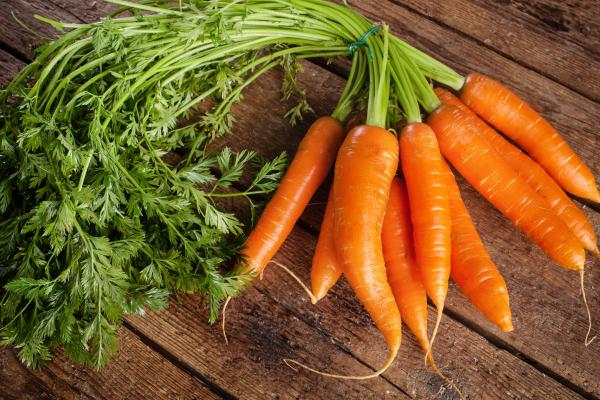 Alimentos para aumentar la leche materna de forma natural - Zanahorias, batatas y albaricoques