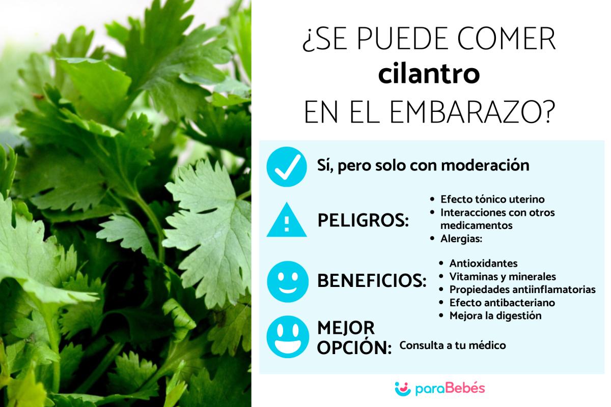 ¿Puedo comer cilantro en el embarazo?
