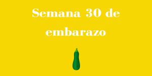 Semana 30 de embarazo