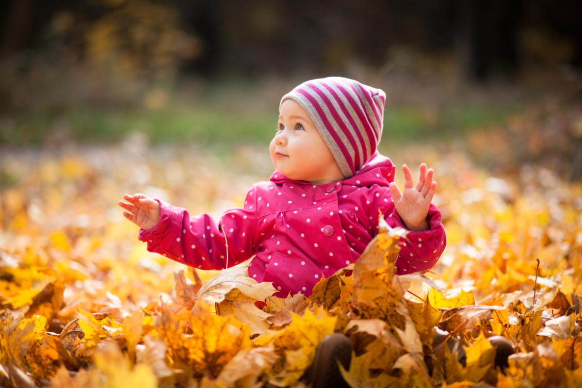 Actividades de otoño para infantil