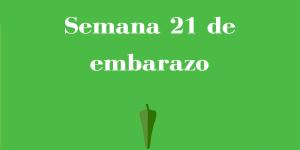 Semana 21 de embarazo