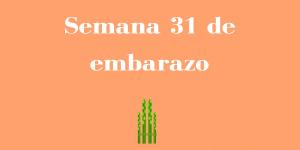 Semana 31 de embarazo