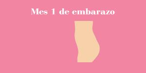 Primer mes de embarazo