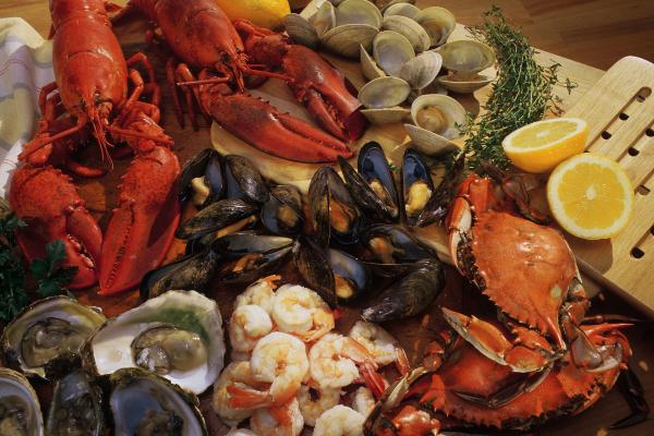 ¿Se puede comer marisco en el embarazo? - ¿Comer marisco en el embarazo es malo?
