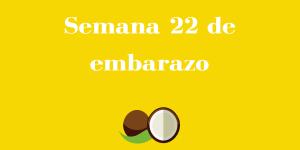 Semana 22 de embarazo