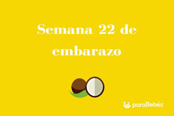 Semana 22 de embarazo