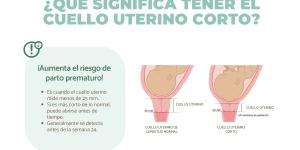 Cuello uterino corto en el embarazo o insuficiencia: causas y tratamiento