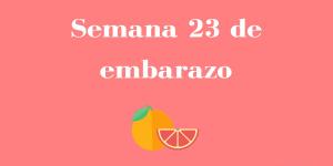 Semana 23 de embarazo