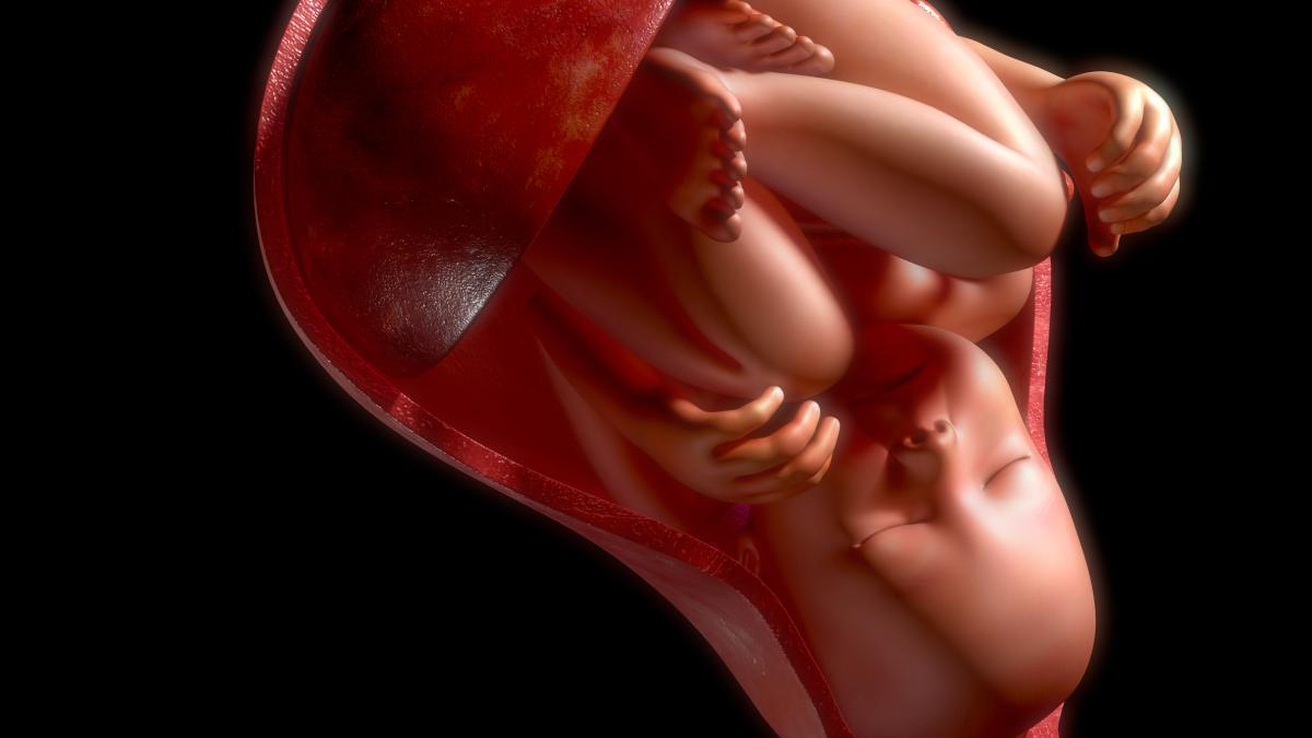 Dónde se sienten las pataditas del bebé cuando está encajado