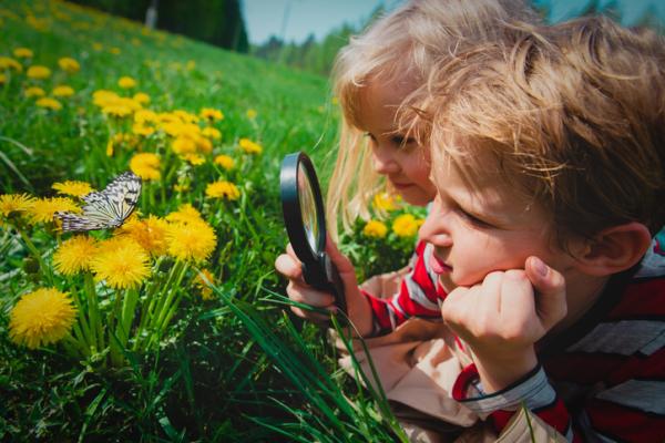 Cómo educar en el asombro a niños