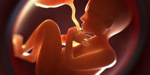 Parto velado: qué es, causas y beneficios para el bebé