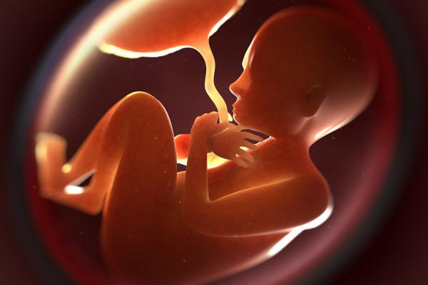 Parto velado: qué es, causas y beneficios para el bebé