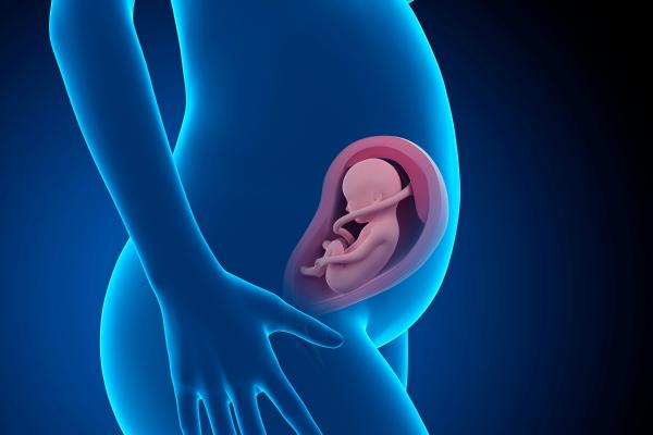 Parto velado: qué es, causas y beneficios para el bebé - ¿Qué es el parto velado?