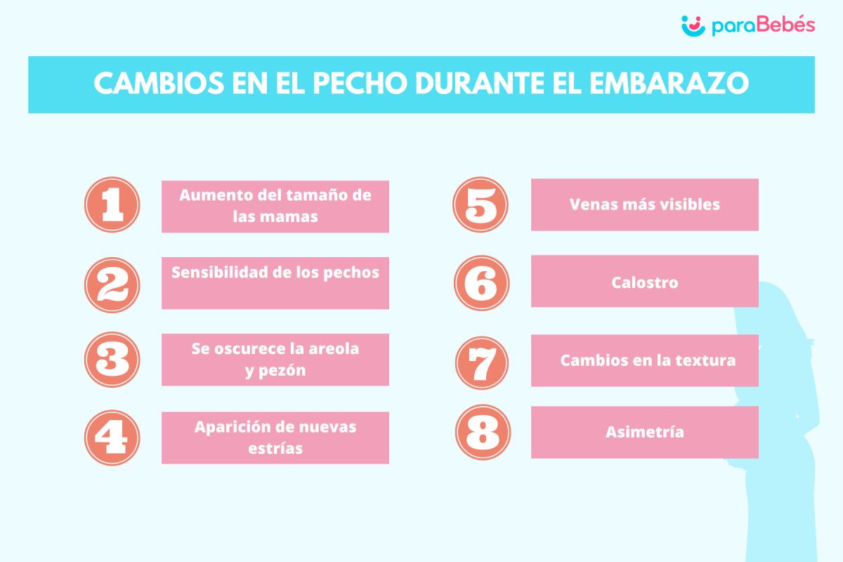 Cambios en el pecho durante el embarazo