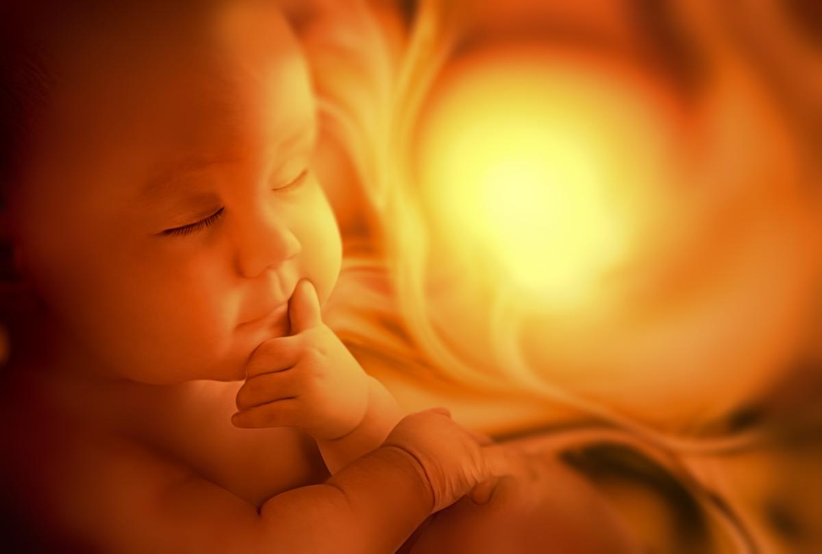 ¿El feto siente las emociones de la madre?