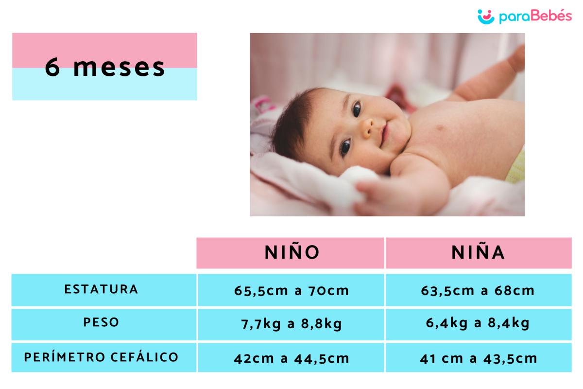 Cuánto debe pesar un bebé de 6 meses