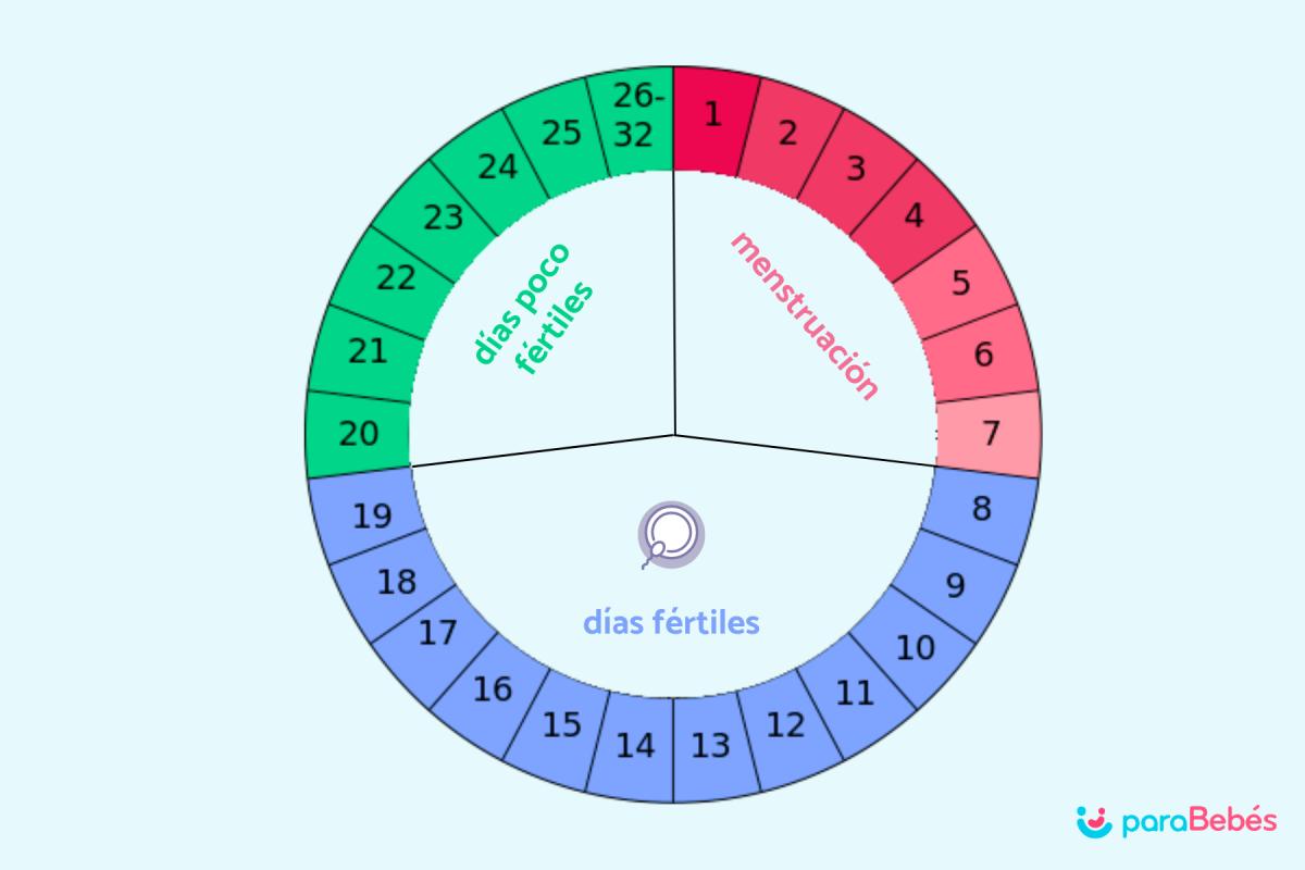 Calculadora de días fértiles y ovulación