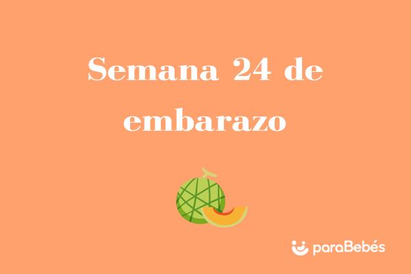 Semana 24 de embarazo