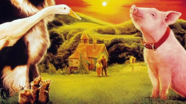 Películas educativas para niños y niñas - Babe, el cerdito valiente