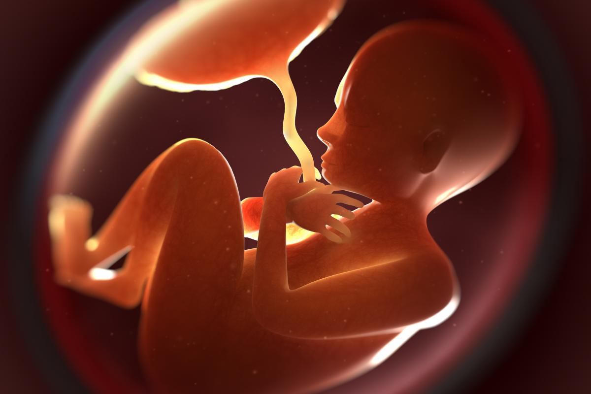 Cómo respiran los bebés en la barriga