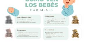 ¿Cómo ven los bebés?