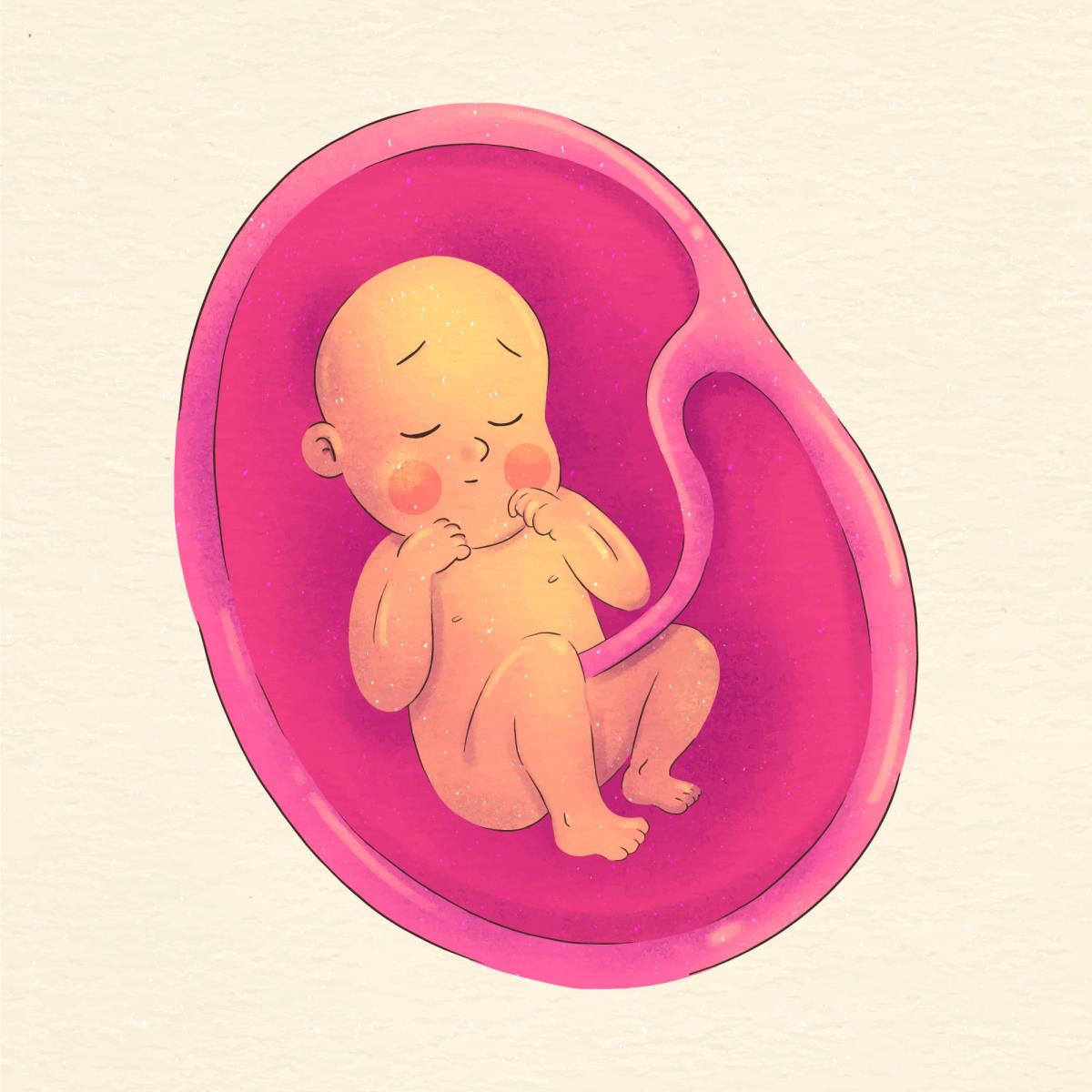 ¿Se nota cuando el bebé se da la vuelta?