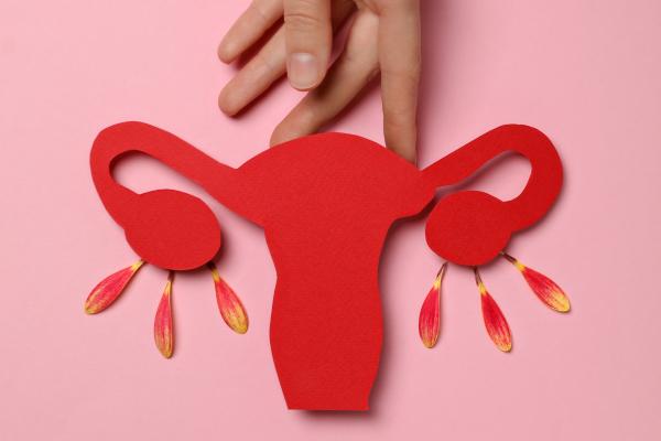 ¿Se puede ovular justo al terminar la regla? - ¿Se puede ovular estando con la regla?