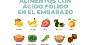 30 Alimentos ricos en ácido fólico para el embarazo