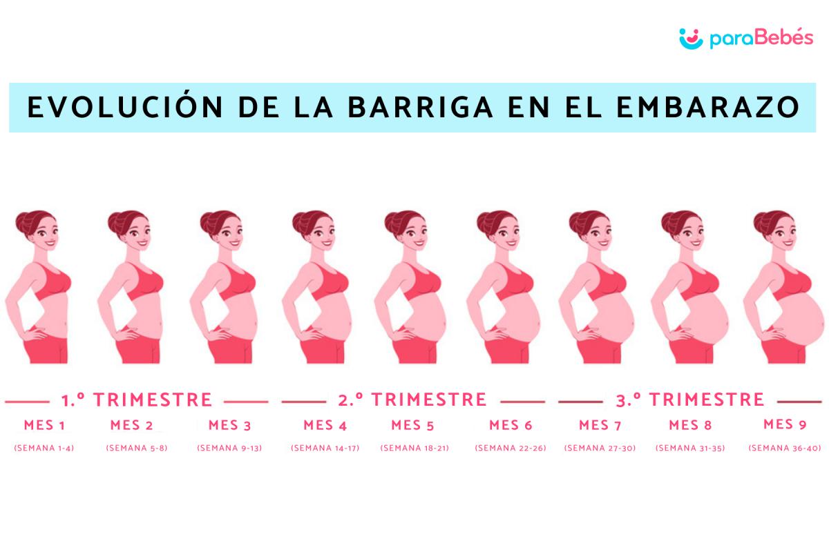 Evolución de la barriga en el embarazo mes a mes