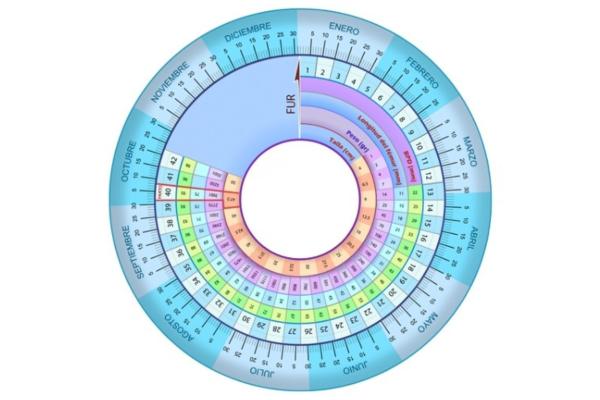 Calculadora de semanas y días de embarazo - ¿Cómo calcular las semanas de embarazo exactas?