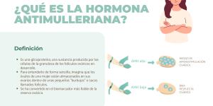 Qué es la hormona antimulleriana: valores por edad