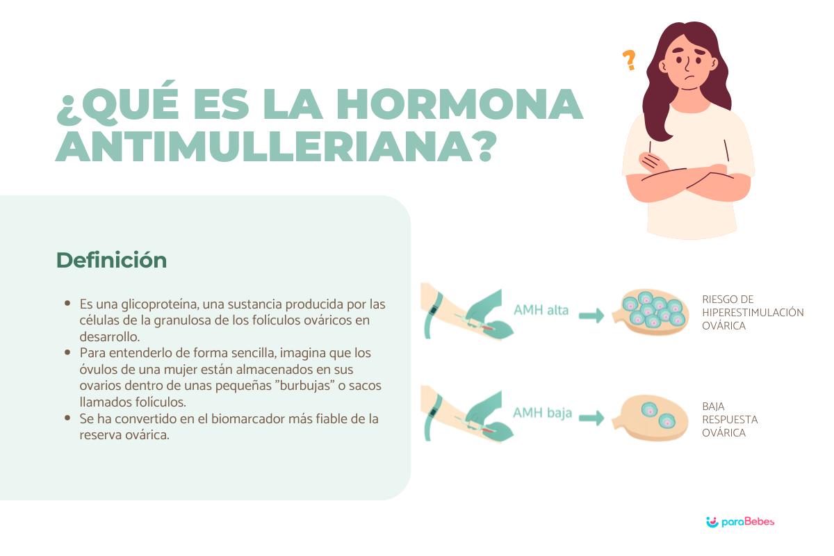 Qué es la hormona antimulleriana (AMH): valores por edad