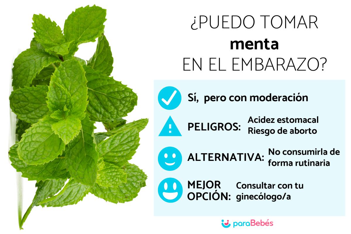 ¿Puedo tomar menta en el embarazo?