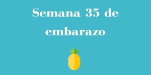 Semana 35 de embarazo