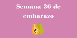 Semana 36 de embarazo