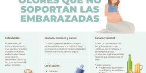 Olores que no soportan las embarazadas