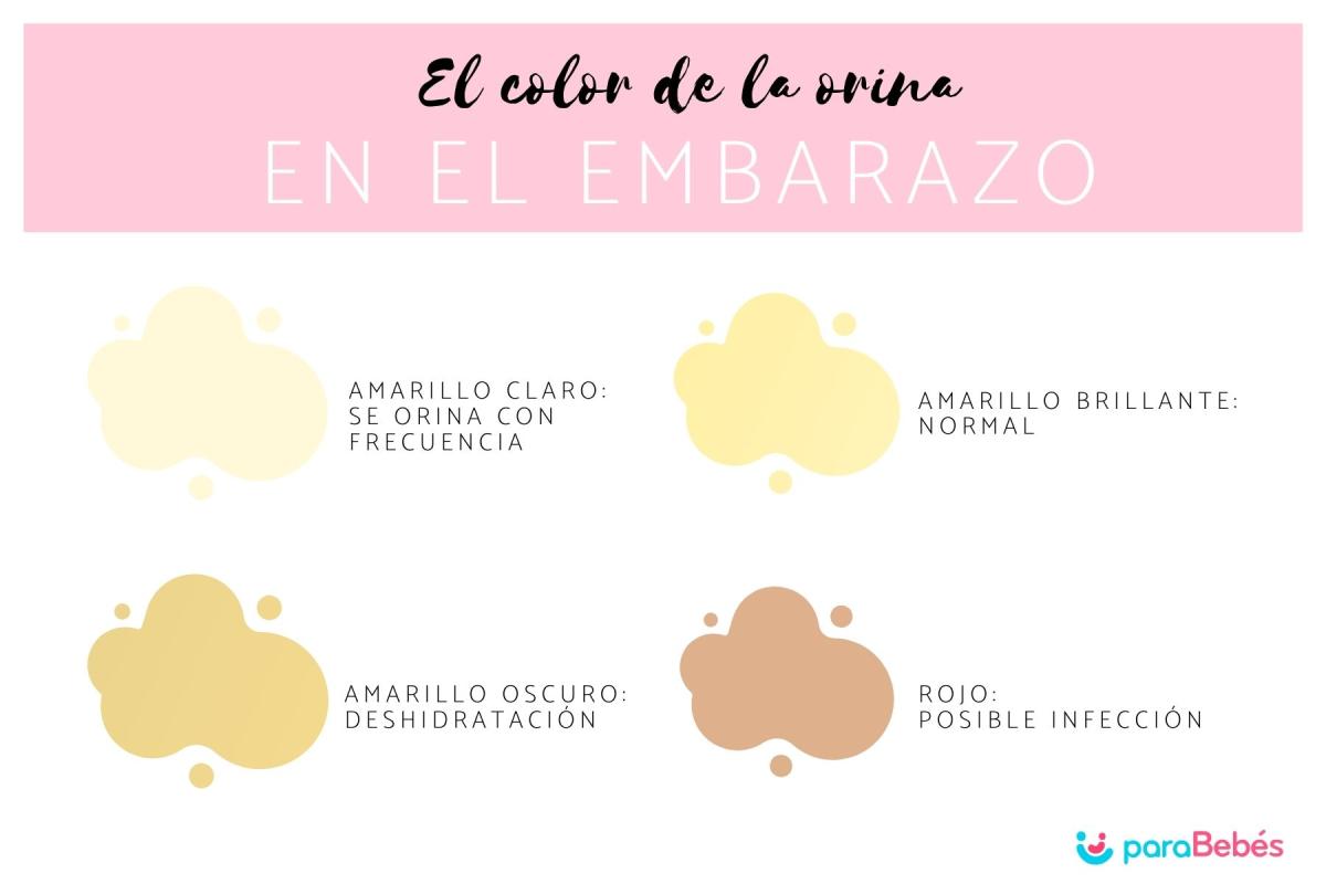 Cómo es el color de la orina en el embarazo
