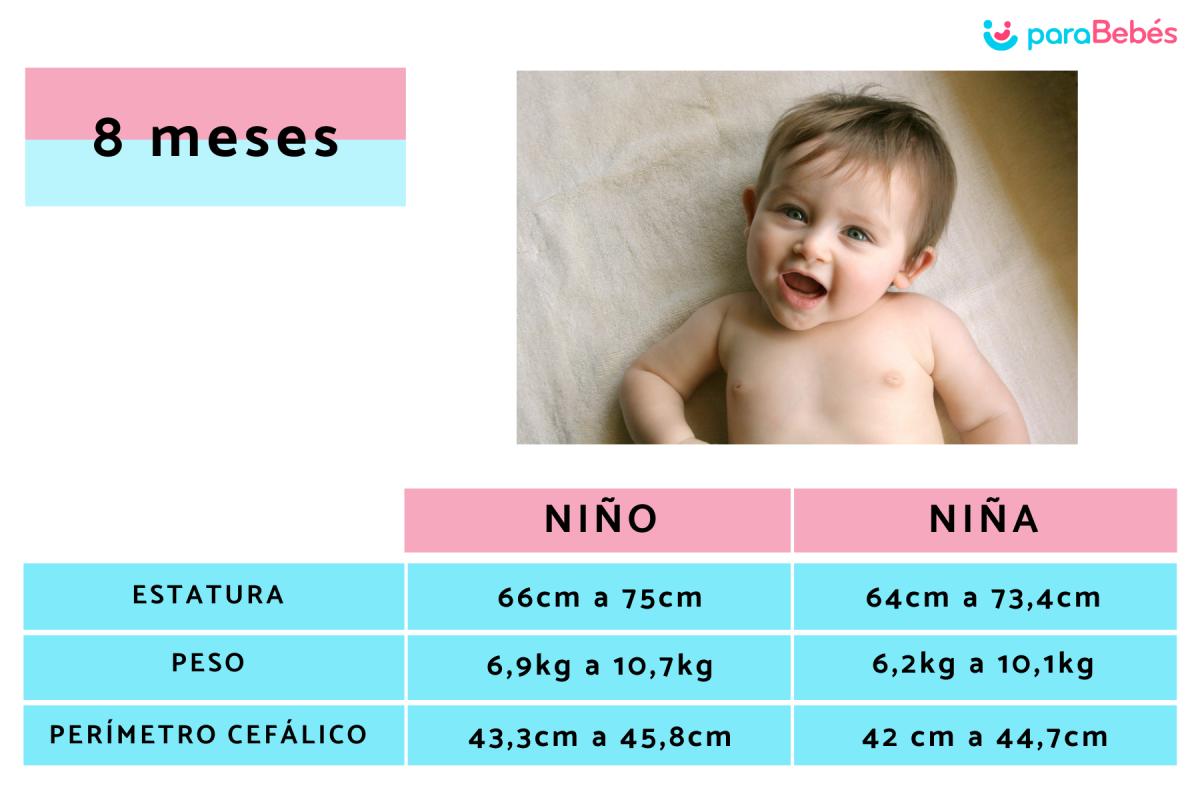 Cuánto debe pesar un bebé de 8 meses