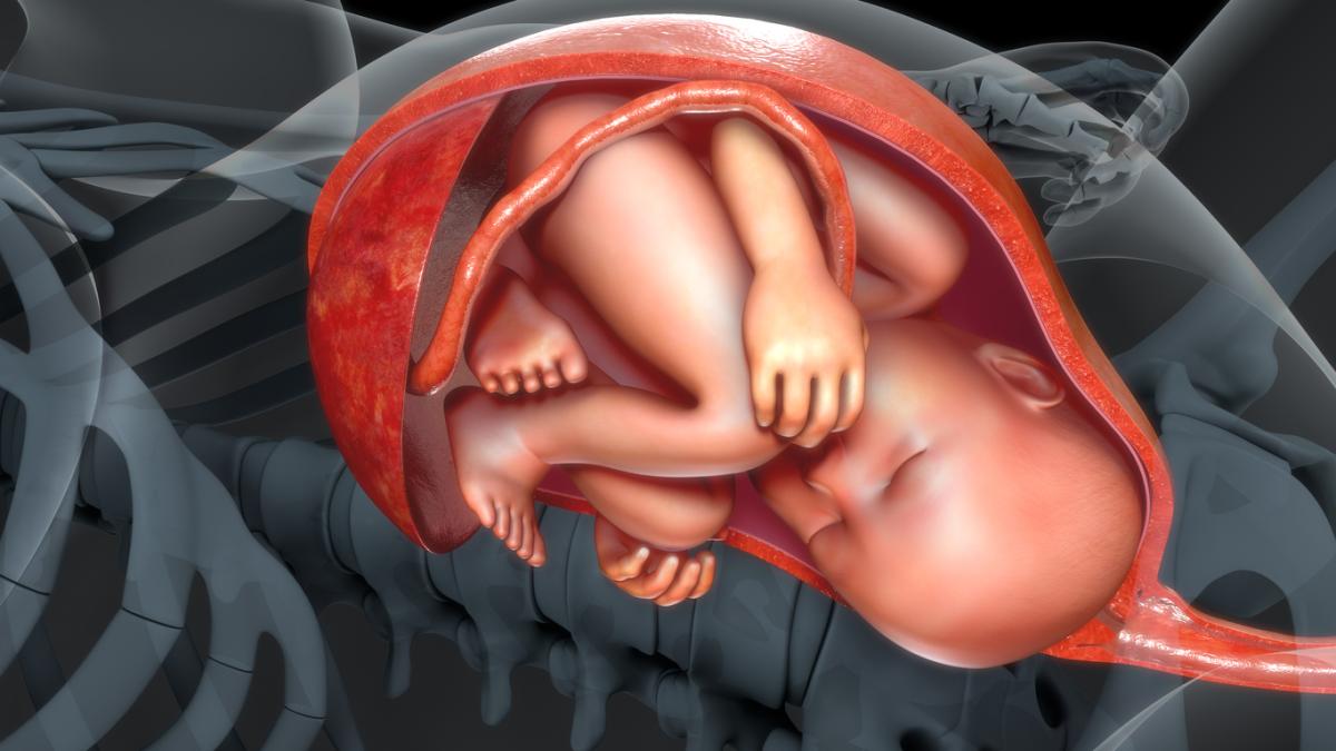 Qué hacer para que el bebé se desenrede del cordón umbilical