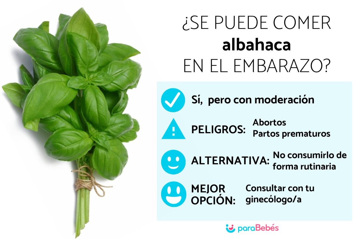 ¿Se puede comer albahaca en el embarazo?