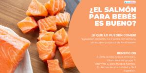 ¿El salmón para bebés es bueno?