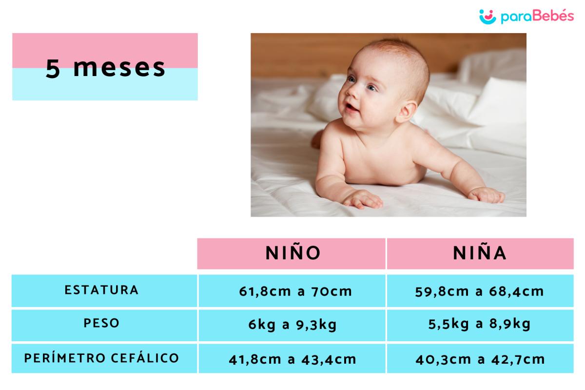 Cuánto debe pesar un bebe de 5 meses