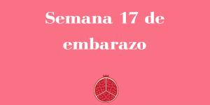 Semana 17 de embarazo