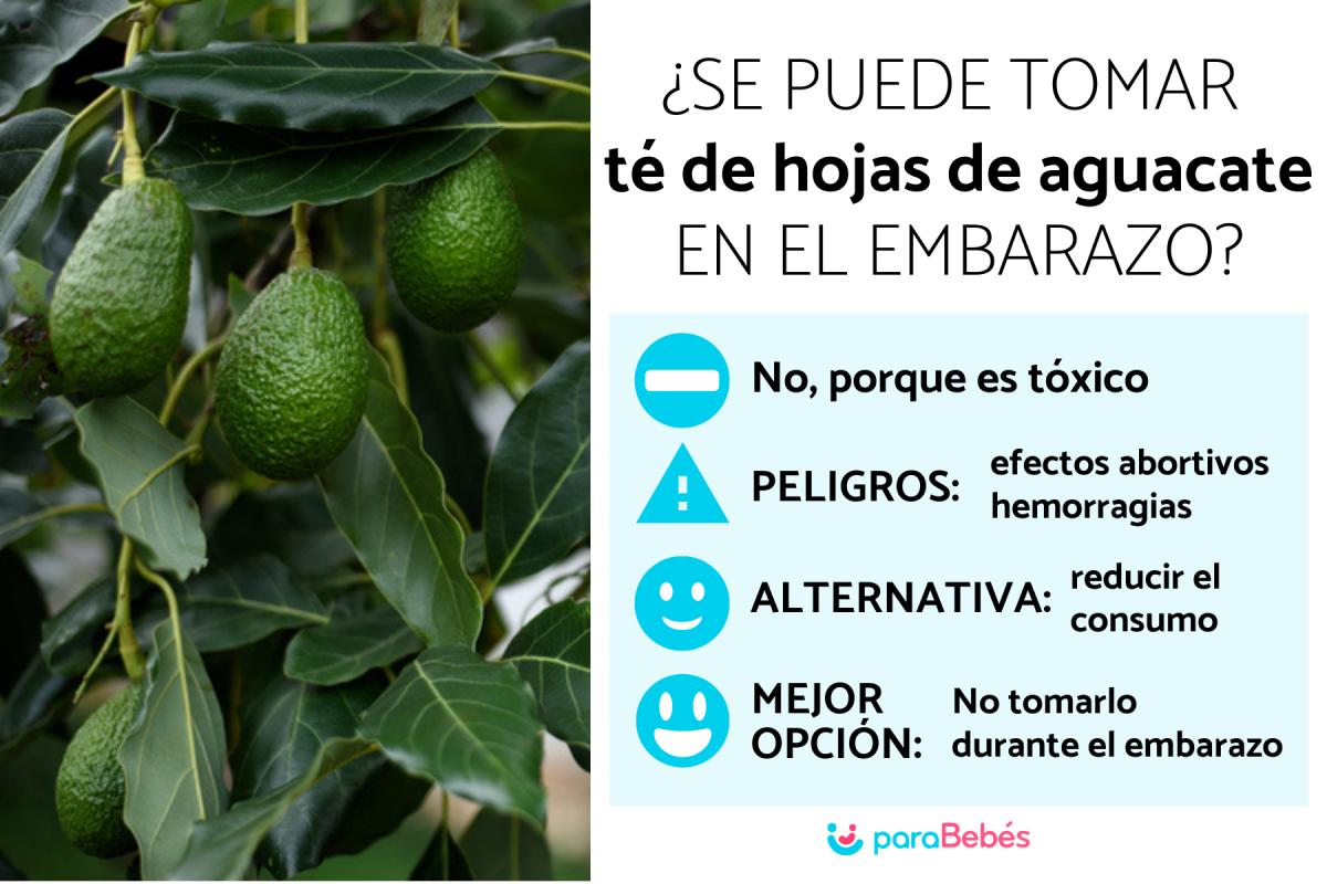 ¿Se puede tomar té de hojas de aguacate en el embarazo?