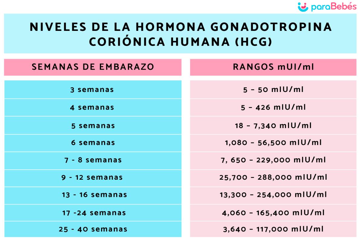 Cuándo se empieza a segregar la hormona del embarazo