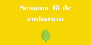 Semana 18 de embarazo