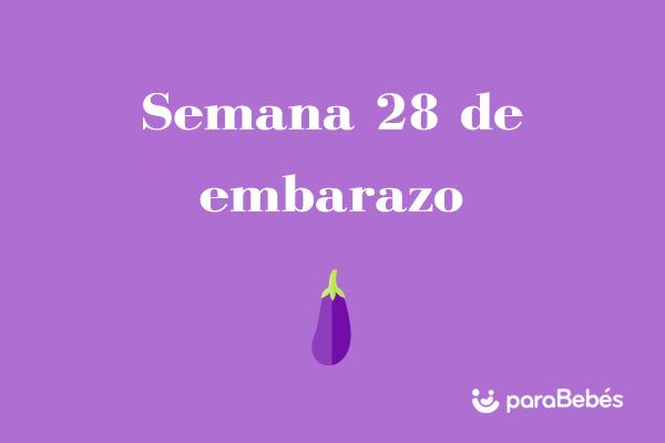 Semana 28 de embarazo